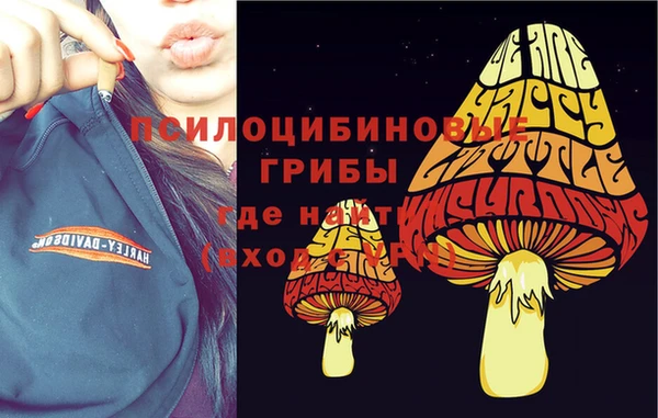 mdpv Алзамай