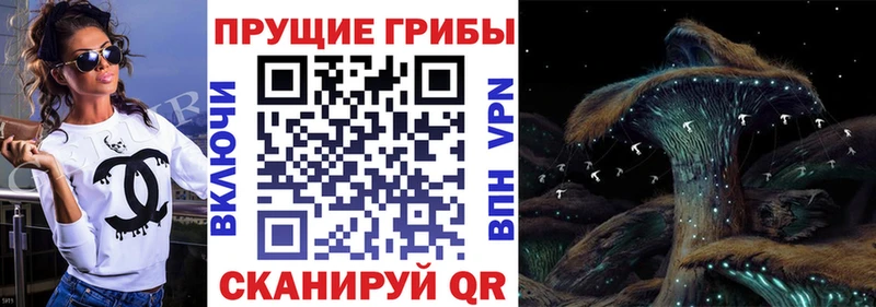 Галлюциногенные грибы Psilocybine cubensis  Березники 